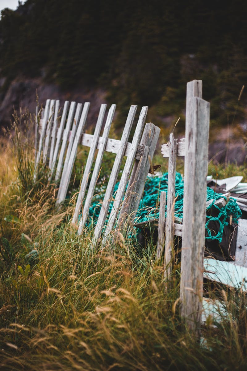 Photo by Erik Mclean A rustic wooden fence stands amidst tall grass, symbolizing nature's reclamation, set in an outdoor landscape.